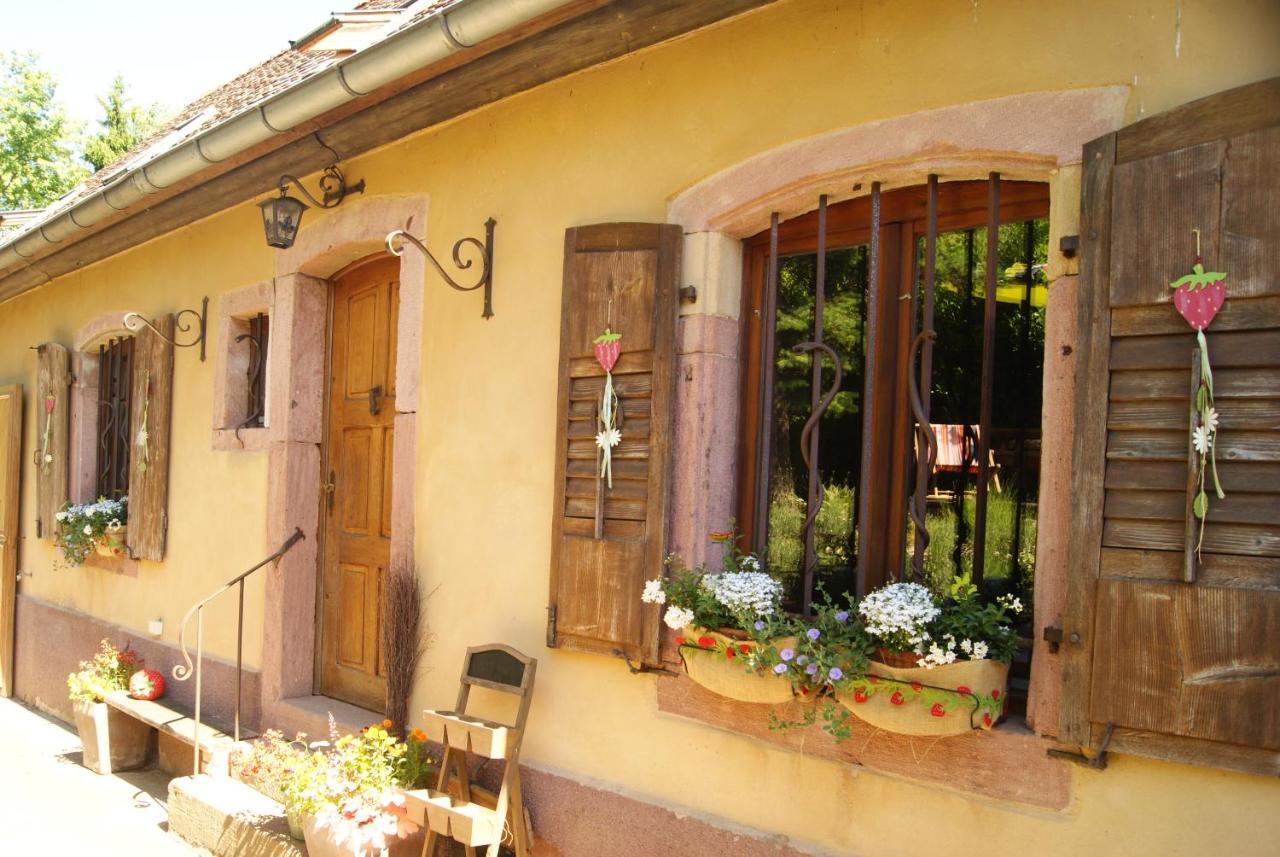 Gite Du Thalala Bernardvillé 外观 照片